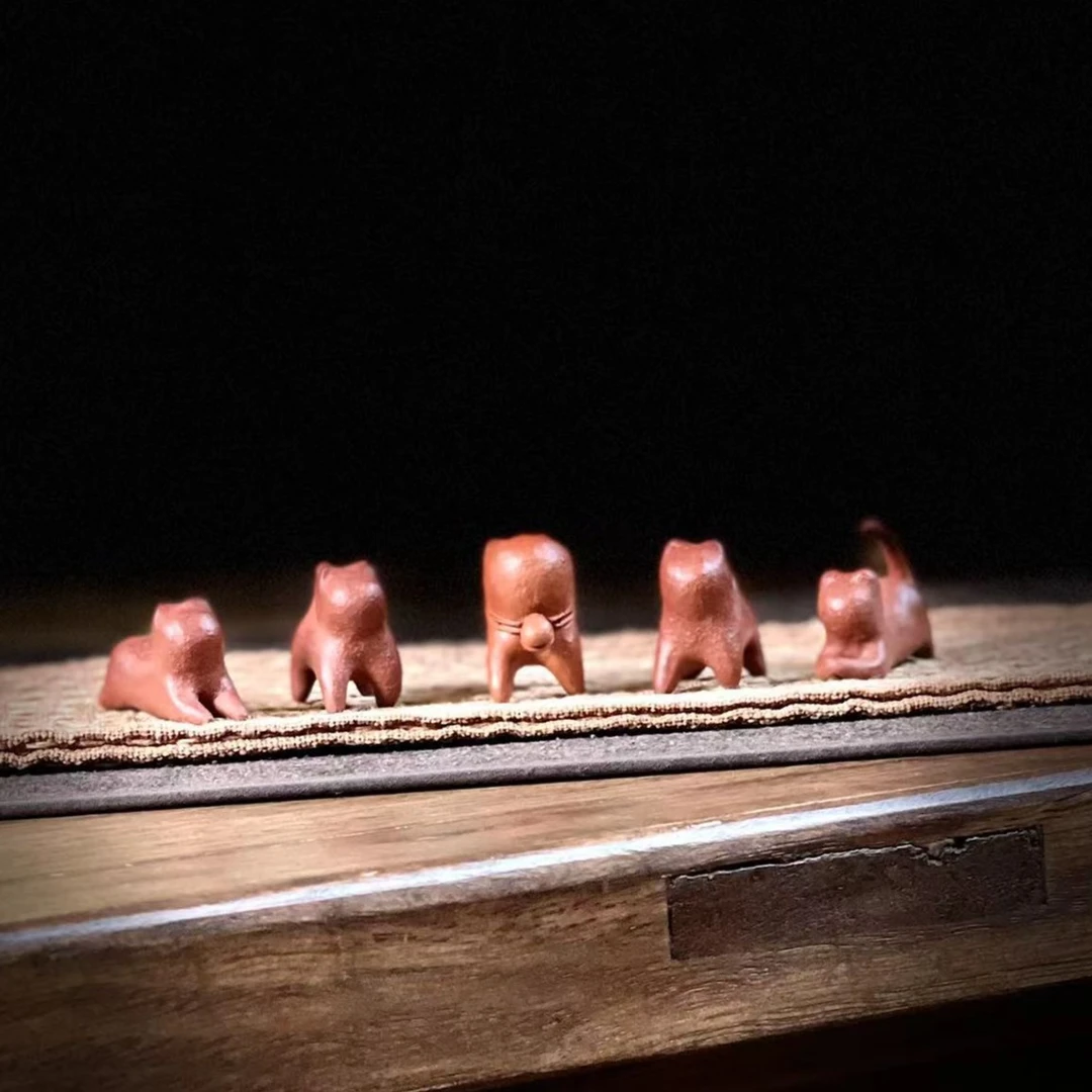 喵小七茶宠摆件 搁置