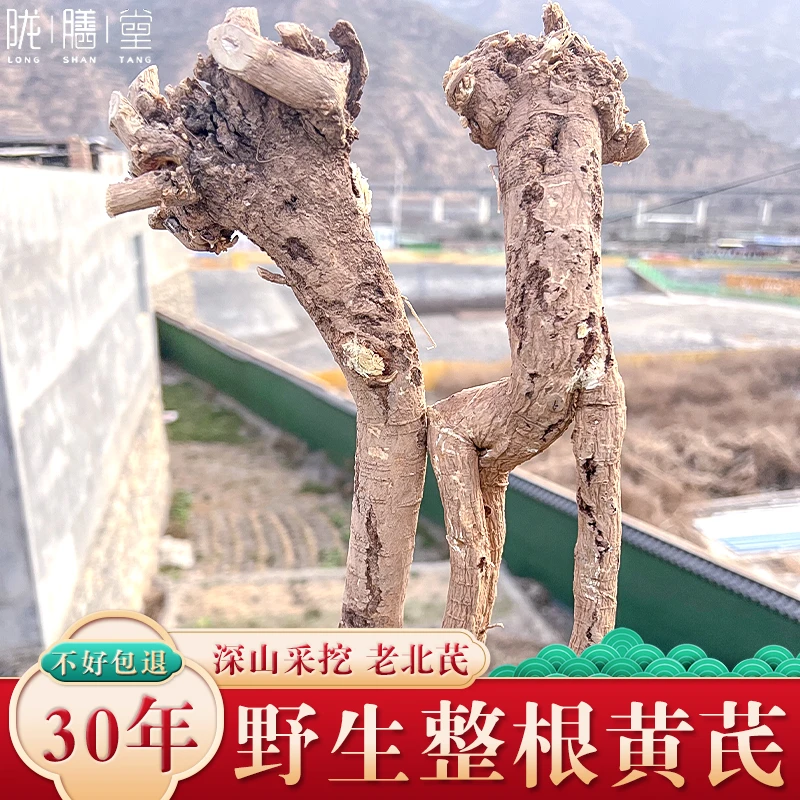 陇膳堂 纯野生黄芪整根特级甘肃中药材北芪 整根发货切片