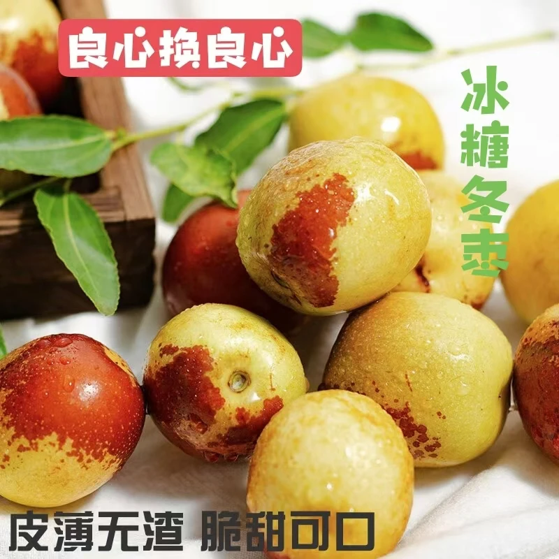 助农【沾化冬枣】应季脆甜可口新鲜孕妇水果健康