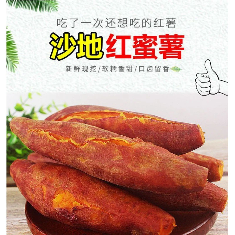 【嘉昊】沙地蜜薯新鲜红薯黄心板栗糖心蜜薯红心西瓜红山芋地瓜批