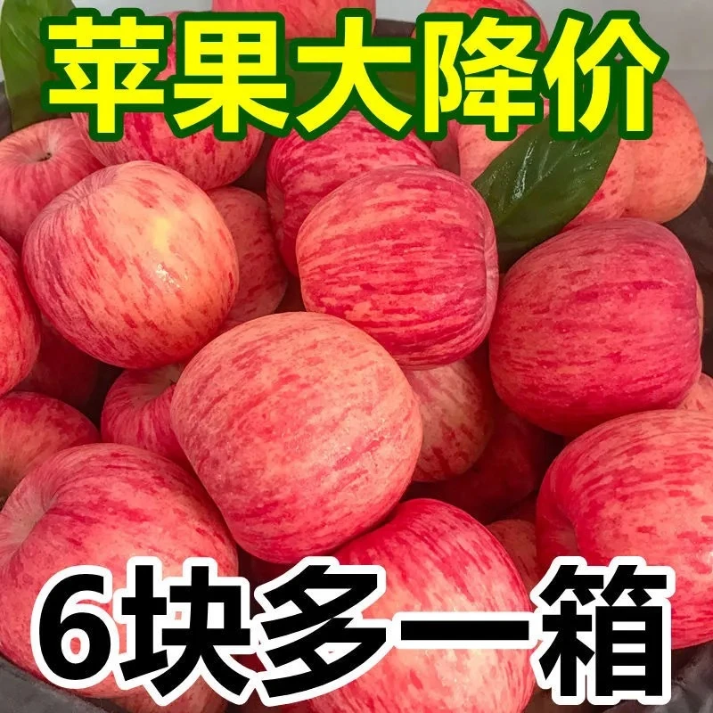 【嘉昊】洛川延安苹果水果新鲜冰糖心整箱陕西红富士脆甜批发