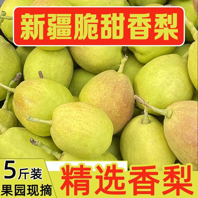 【嘉昊】新疆库尔勒香梨正宗新鲜水果红香酥梨子香妃梨全母梨//包