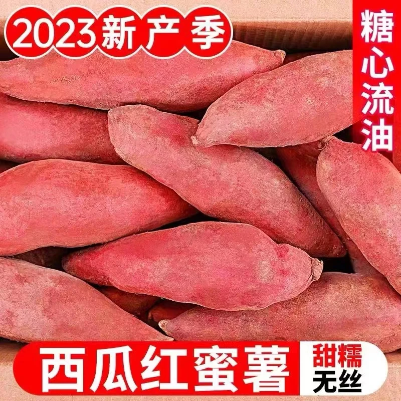 【嘉昊】西瓜红糖心蜜薯新鲜蔬菜沙地地瓜板栗薯农家自种超甜红薯