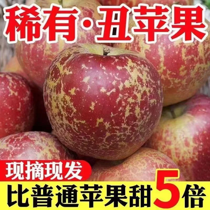 【嘉昊】丑苹果冰糖心苹果新鲜应季水果整箱包邮四川陕西红富士..