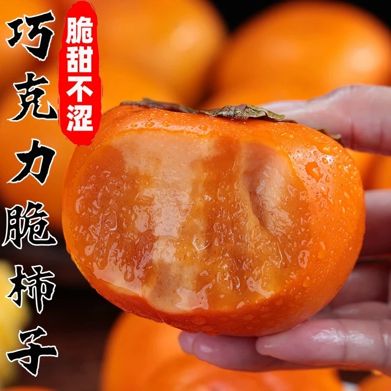 新鲜阳丰巧克力柿子香甜多汁原产地当季新鲜水果果园直发