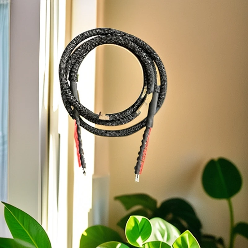 7N单晶铜音箱线（标价为一对价格，每个电极有5平方含有镀银神经线）