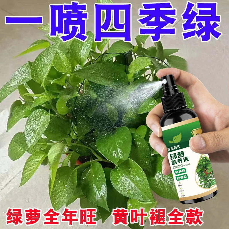 【四季旺】绿萝专用营养水培肥料营养液叶子发黄烂根促新芽叶面肥