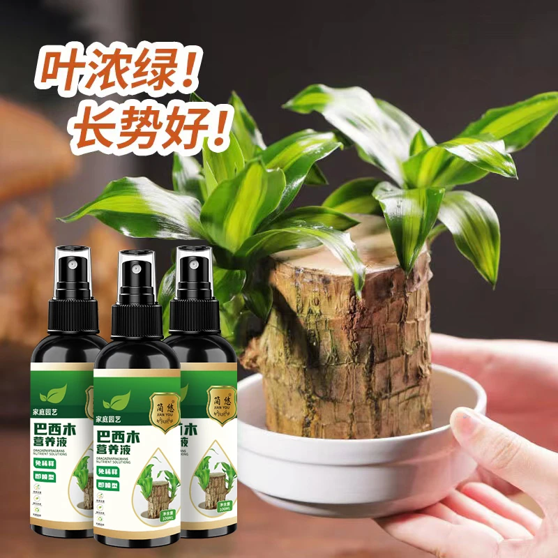 速救】巴西木营养液专用促芽剂助生长生根发芽水培土培通用肥料