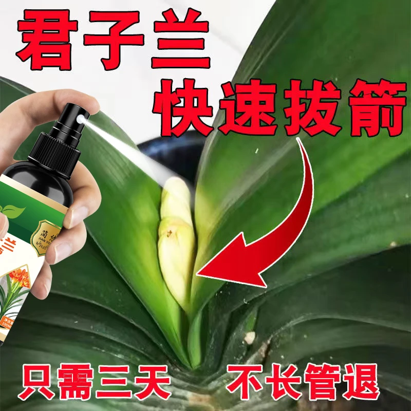 君子兰专用植物营养液快速开花促箭剂防止烂根黄叶土壤配方肥料