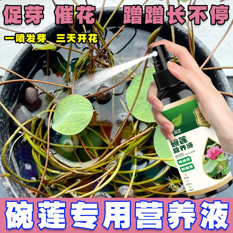 碗莲荷花营养液催芽促开花防黄叶叶面黑烂叶不开花水培绿植通用肥