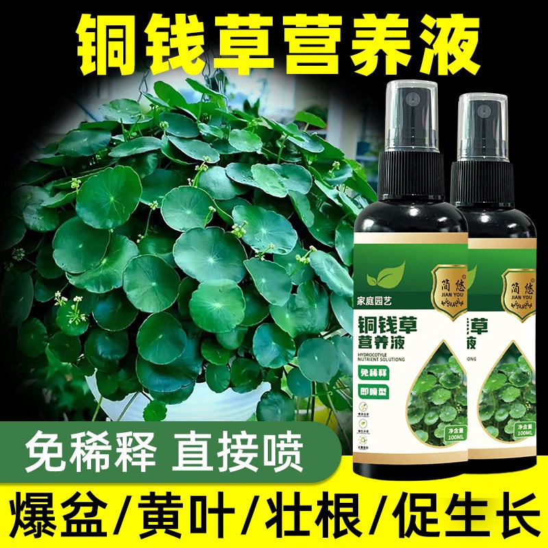 【绿油油】铜钱草专用营养液水培土培增绿促长防枯萎黄叶免稀释肥