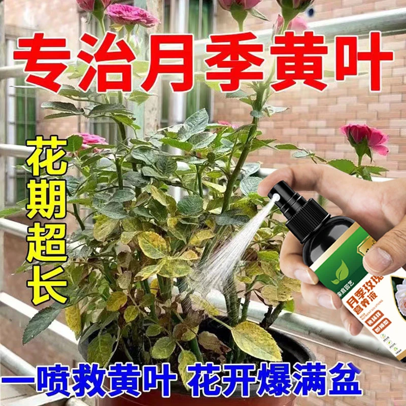 月季花病虫害通用药月季玫瑰专用营养液治黄叶黑斑促开花防免稀释