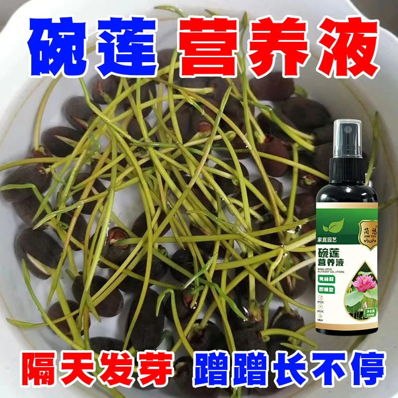 碗莲营养液通用型碗莲专用营养液花肥绿植水培植物肥料生根治黄叶