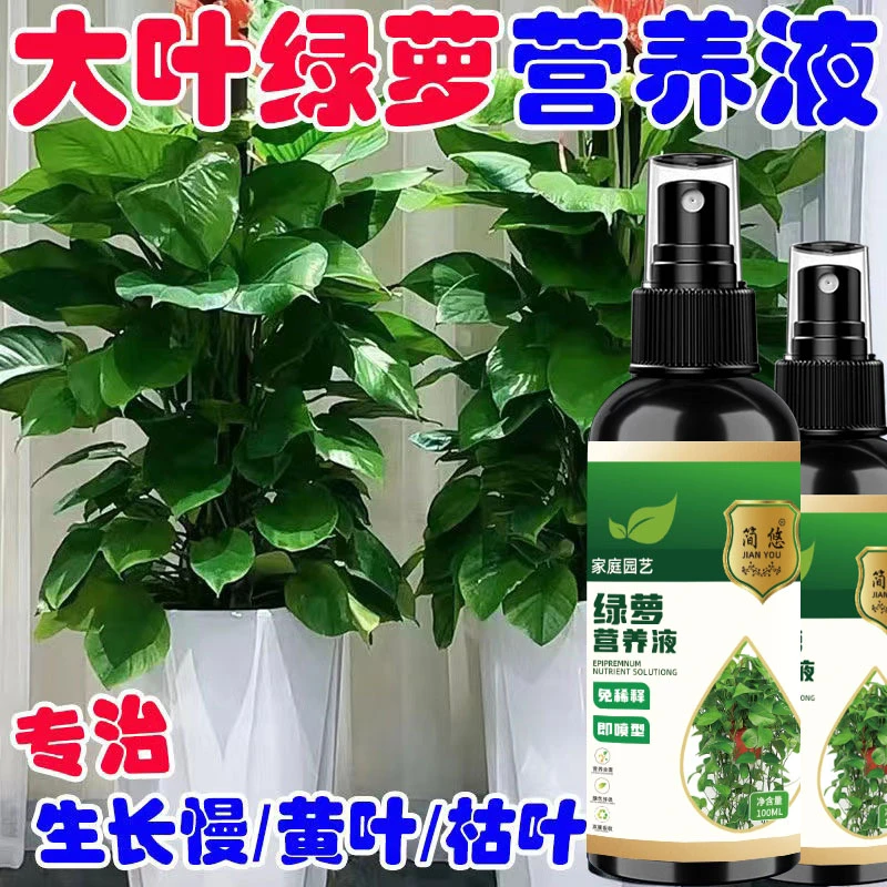 大叶绿萝营养液水培种植生根液专用植物树木花卉盆景花肥免稀释