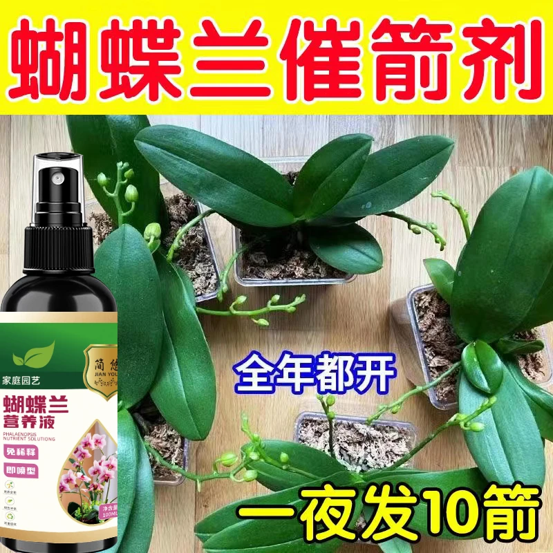 蝴蝶兰专用肥兰花快速生根营养液促开花拯救黄叶烂根免稀释通用型