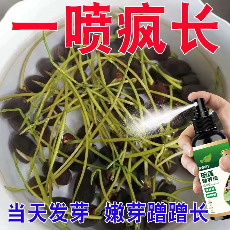 【蹭蹭长】碗莲睡莲专用营养液促发芽开花防黄叶延花期护花营养液
