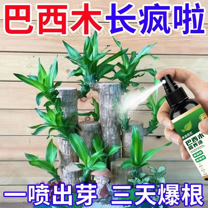 高效】巴西木营养液专用防黄叶催芽促生长水培植物通用型新型肥料