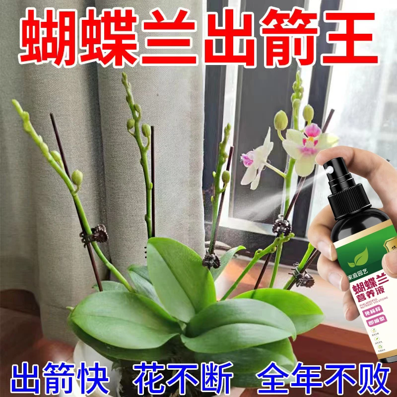 【一喷出箭】蝴蝶兰营养液专用肥促拔箭开花防黄叶烂根兰花液体肥
