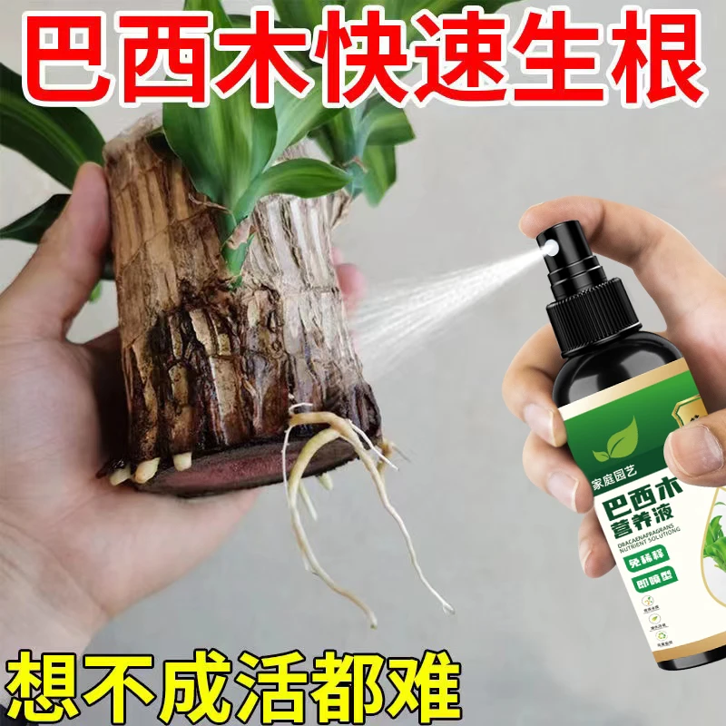 【专用】巴西木营养液稳苗提活力促生长快速生根发芽免稀释液体肥