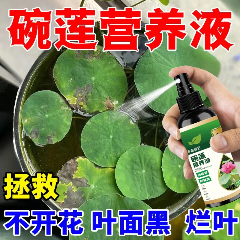 【高效】碗莲荷花营养液专治烂叶发黑催芽促开花增肥专用液体肥料