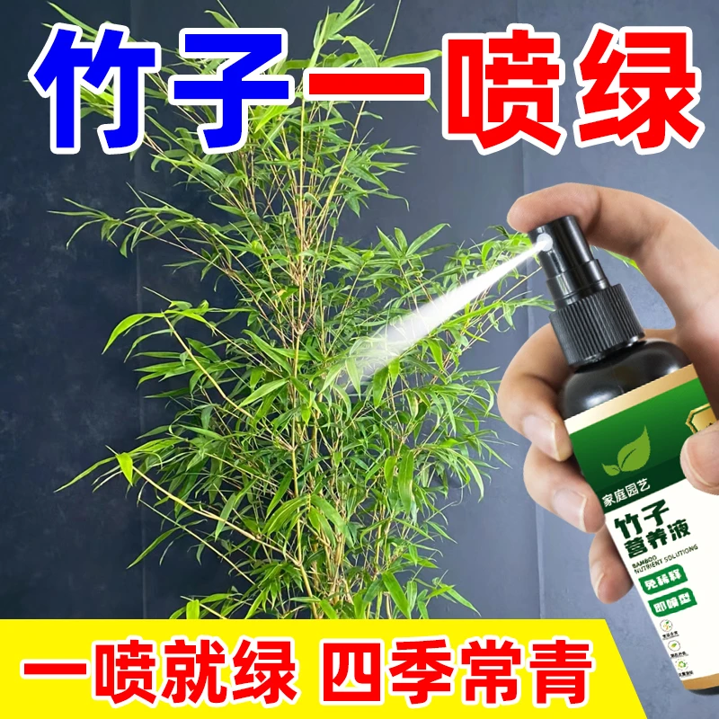 【一喷绿】竹子营养液红竹米竹红观音竹子肥免稀释防黄叶促生长肥料