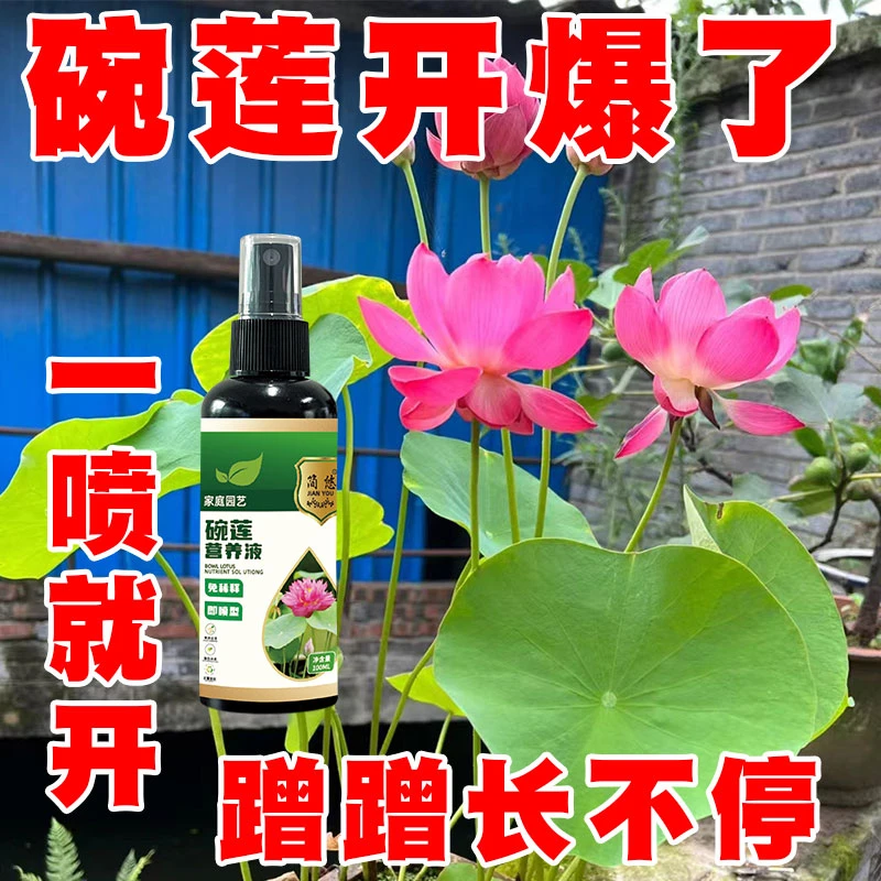 【疯长王】碗莲荷花睡莲专用营养液水培植物通用型催花促花不黄叶
