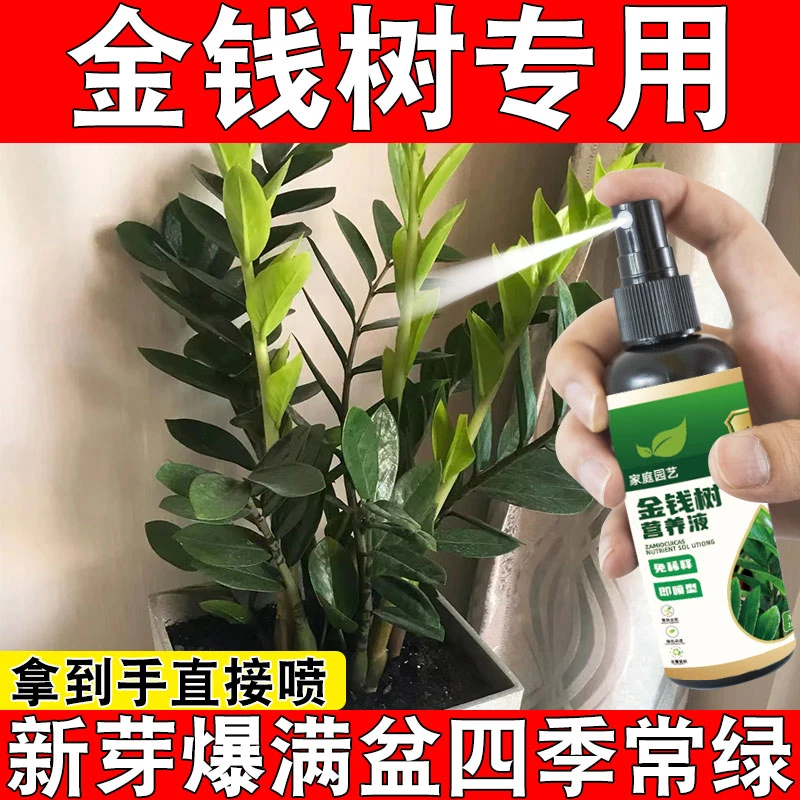 【急救】金钱树营养液治黄叶落叶烂根枯萎催芽促生长专用液体肥