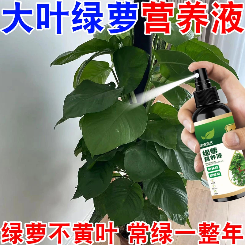 【一喷猛长】大叶绿萝专用营养液黄叶落叶枯萎一喷绿生根促长液体