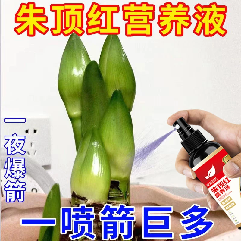 朱顶红适用营养液催花剂植物促箭通用型配方均衡专用肥微量元素