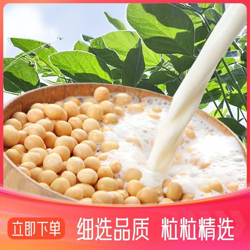 东北黄豆打豆浆专用农家自种黑龙江新大豆五谷杂粮豆类