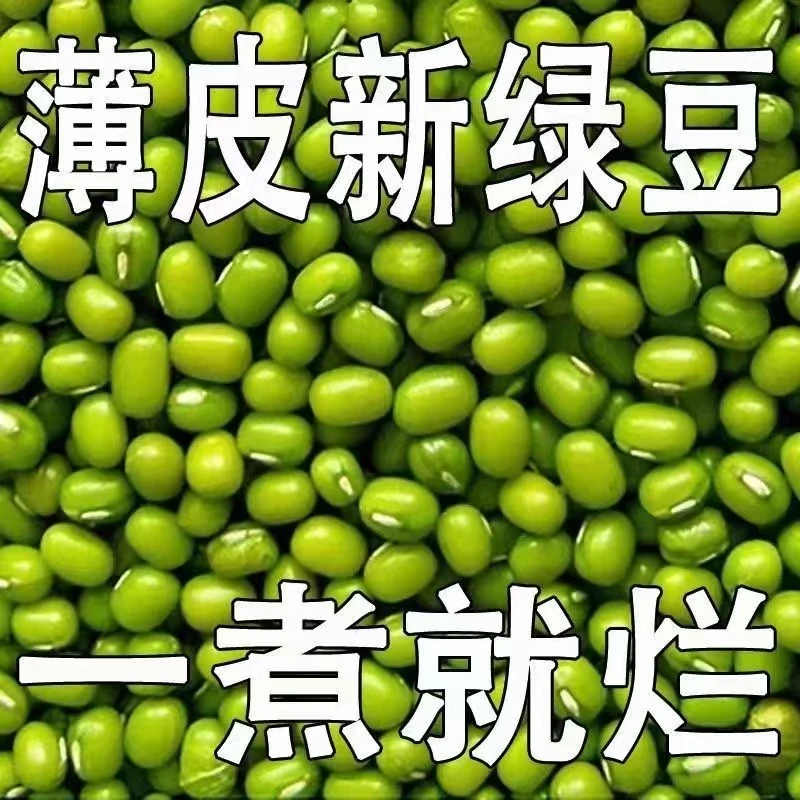 绿豆批发东北农家新绿豆绿豆粥新货绿豆汤笨绿豆发芽绿豆糕粗粮