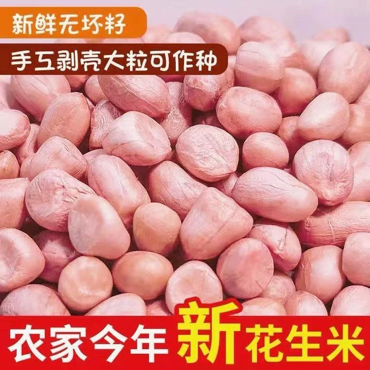脱壳新花生米生新货特级粉皮新鲜大粒花生米不带壳榨油白沙花生仁