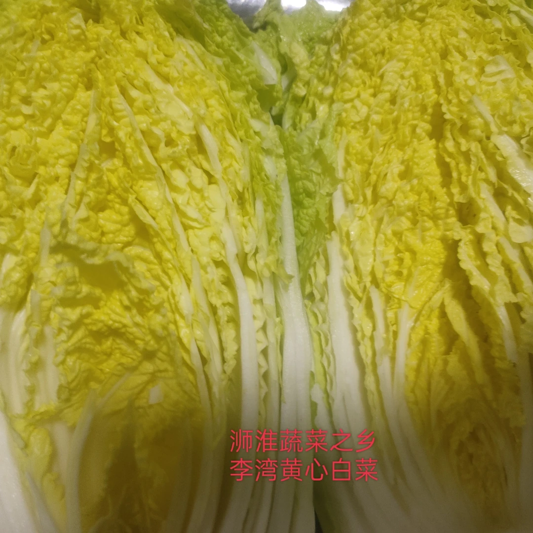 【四斤送一斤】关注发5.3斤李湾沙窝甜白菜黄心白菜【应季蔬菜】