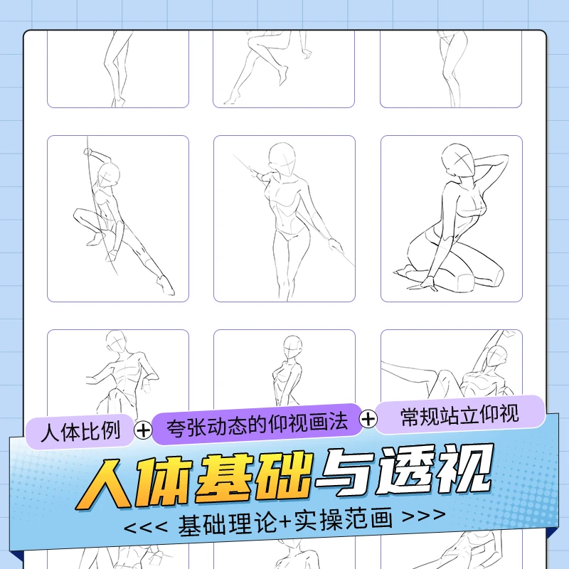 【自学帮】人体躯干四肢比例及动态透视范画
