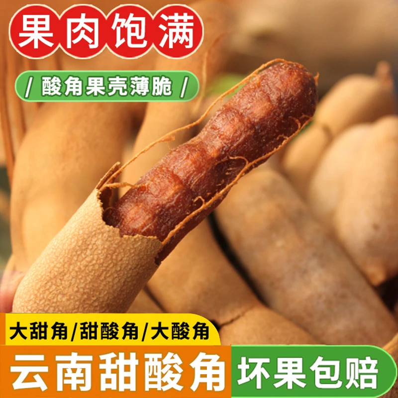【云南特产甜酸角】孕妇零食酸甜角蜜饯罗望子新鲜大甜角