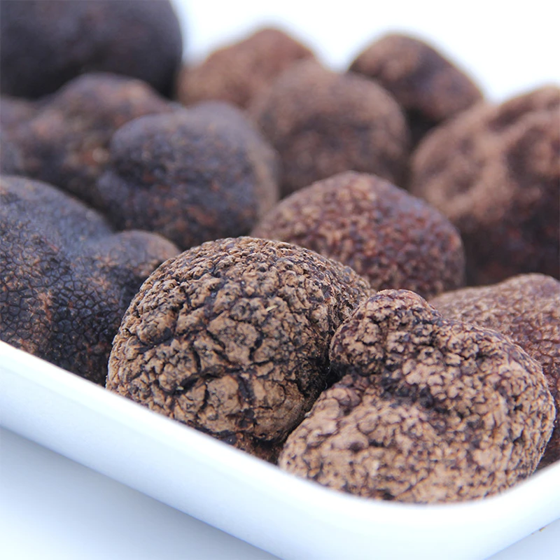 2024年头茬野生高山黑松露产地现采直发营养美味健康滋补