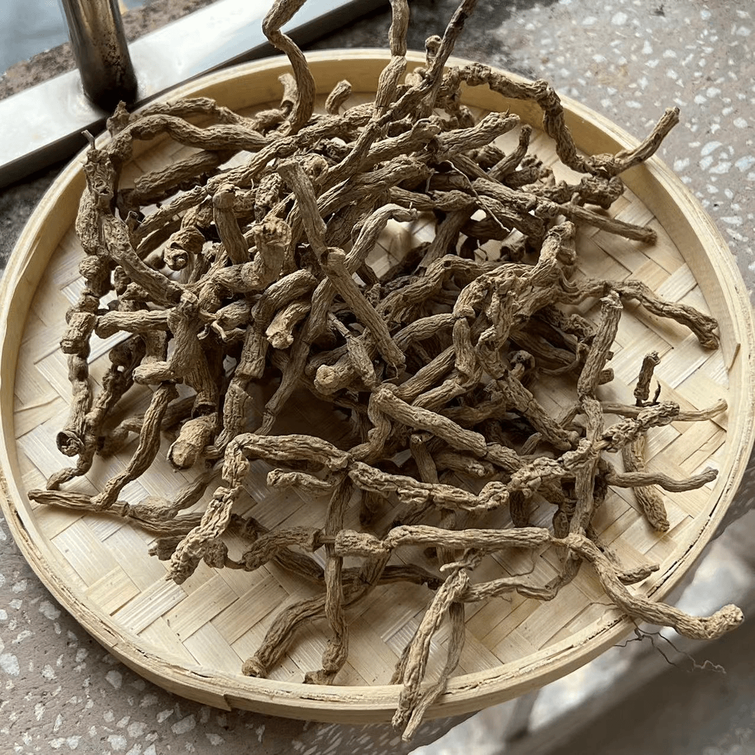 【鸡肠风】巴/戟阳山野生戟/条/初级农产品 500g
