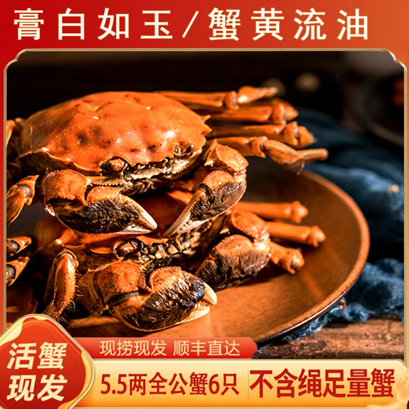 【活蟹现发】如意之选精品大闸蟹 全公蟹5.5两 共6只