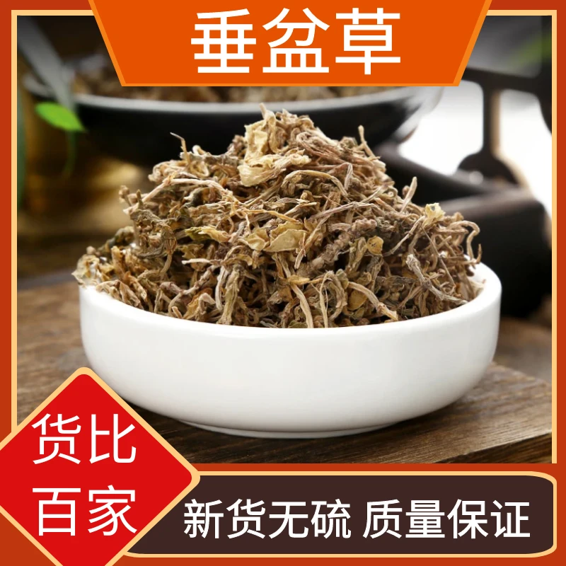 正宗野生垂盆草根茎精选优质新货垂盆草特产食材垂盆草250克包邮