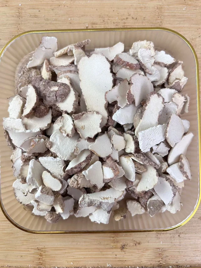 【虎乳菌边角料】马来虎乳菌（效果一样）