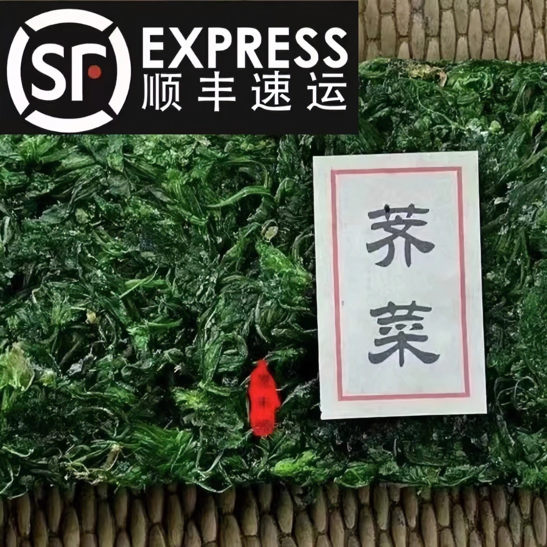 （顺丰包邮）冷冻农家荠菜野生荠荠菜地菜冷冻荠菜馄饨水饺馅