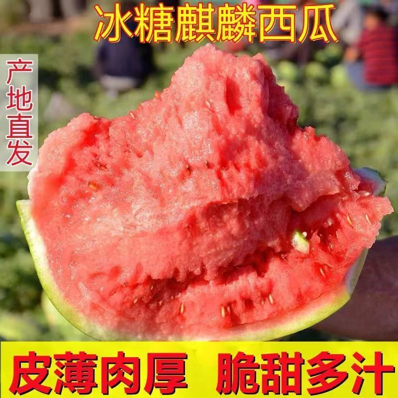 当季云南西双版纳麒麟西瓜麒麟瓜8424西瓜新鲜薄皮农家种植