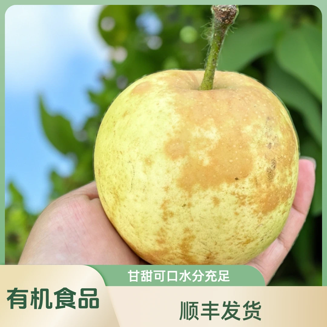 北纬31°大别山天然氧吧有机果园直发翠冠梨(乡村山里娃专属链接)