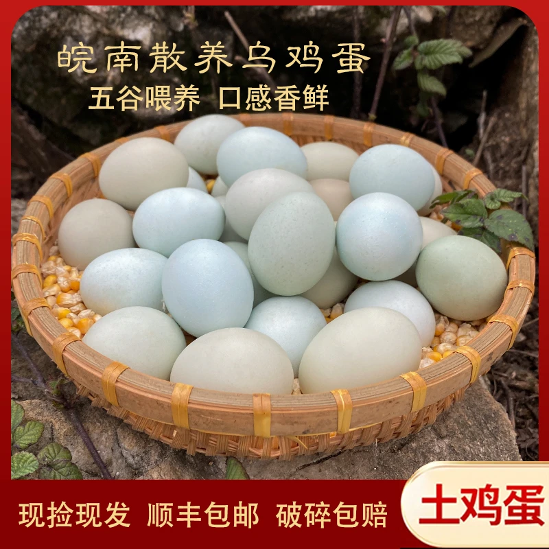九华山乌鸡蛋山林散养土鸡蛋优质营养农场直供健康喂养新鲜土鸡蛋