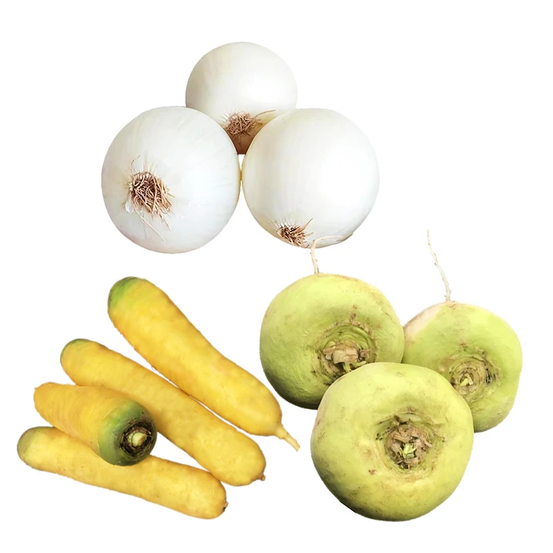 黄萝卜恰玛古皮牙子白洋葱混拼5斤 新疆新鲜蔬菜北京新疆双仓发货
