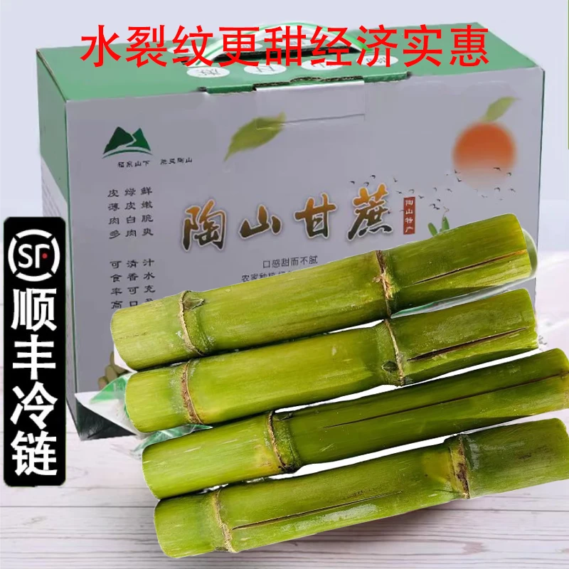 顺丰陶山甘蔗水裂纹应季温州特产新鲜水果青皮甘蔗果蔗整箱礼盒