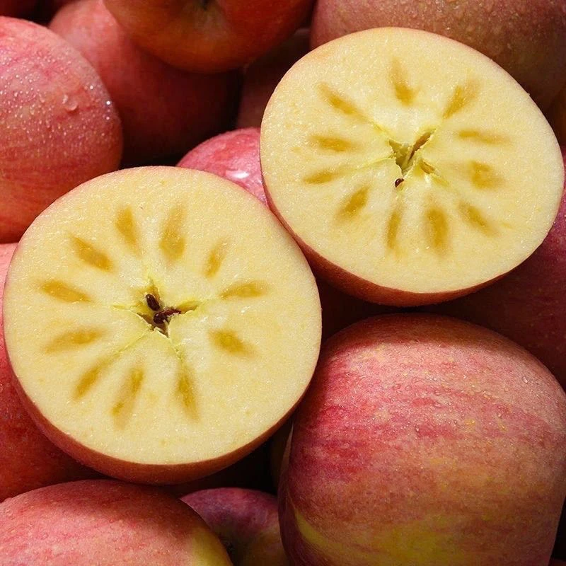 苹果5斤/9斤脆甜汁水多好吃当季水果