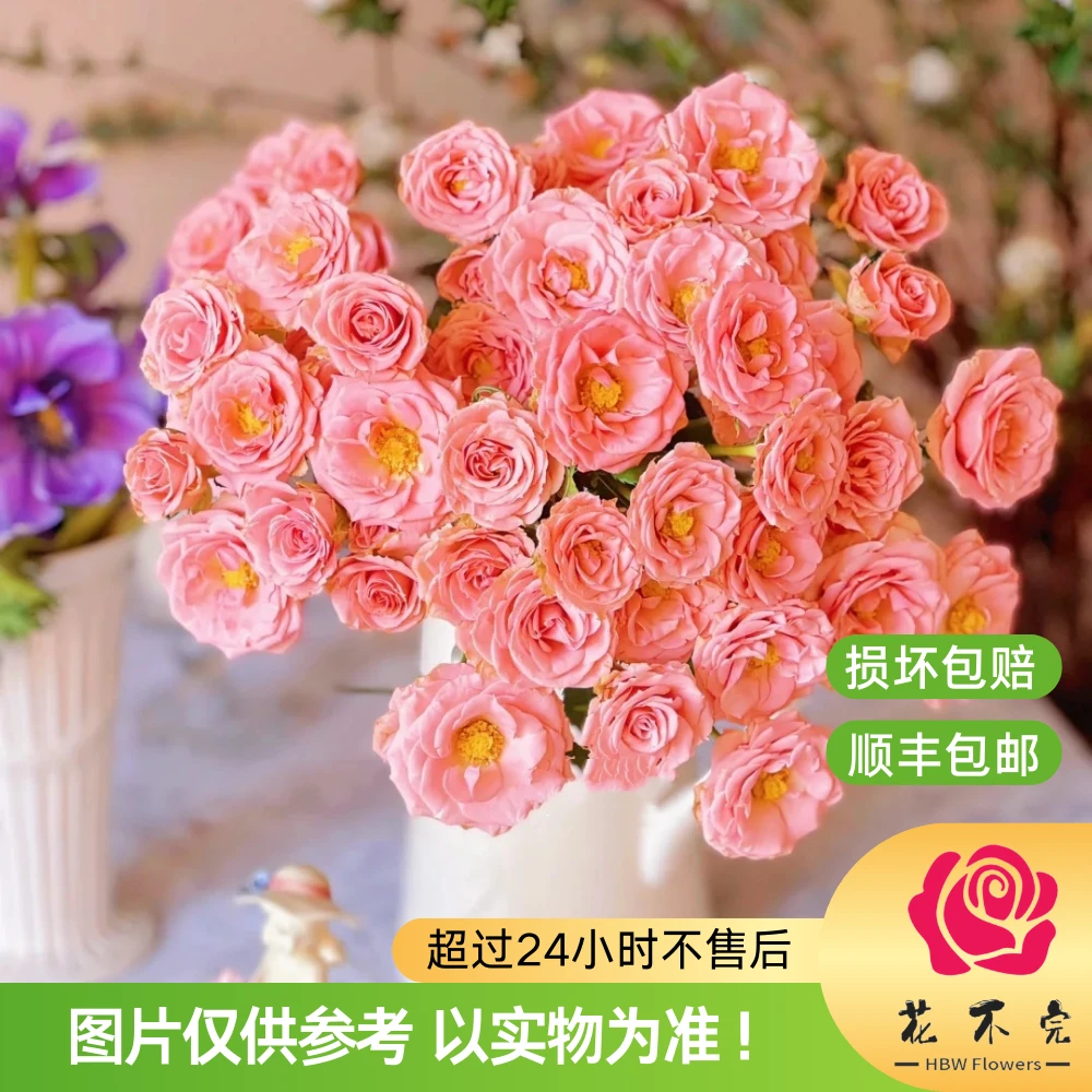 露露公主（多）玫瑰—“粉粉嫩嫩，仙仙的露露公主呀！”