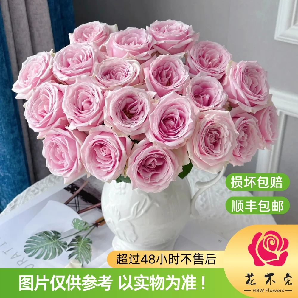 粉红雪山【张良花卉】—“初恋、优雅高贵、感谢！”玫瑰