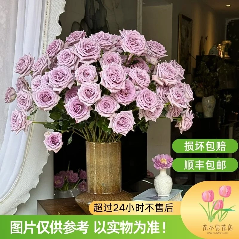 九星蓝狐—“没有人能拒绝的香芋紫色多头玫瑰！”
